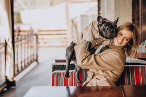 Style and Fashion for Pets